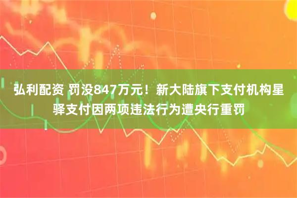 弘利配资 罚没847万元！新大陆旗下支付机构星驿支付因两项违法行为遭央行重罚