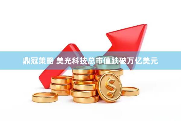 鼎冠策略 美光科技总市值跌破万亿美元